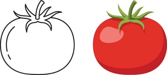 Ripe red tomato and sketch outline vegetable food ingredient freshness healthy eating isolated on transparent background