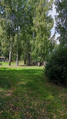 path in the park
