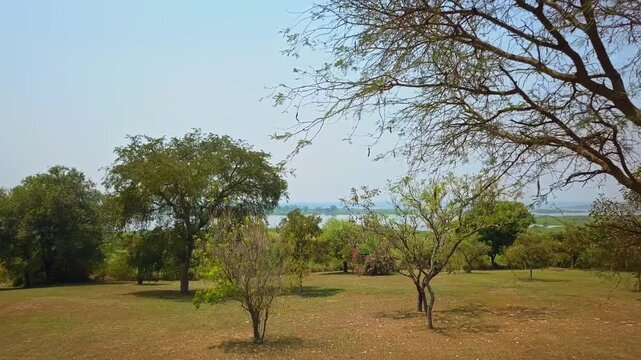 A drone glides past dry-season Acacia (Acacia spp.), Mango (Mangifera indica), and Jackfruit (Artocarpus heterophyllus) trees on the banks of the River Nile, in the savannah of Uganda.