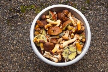 a full bucket of mushrooms