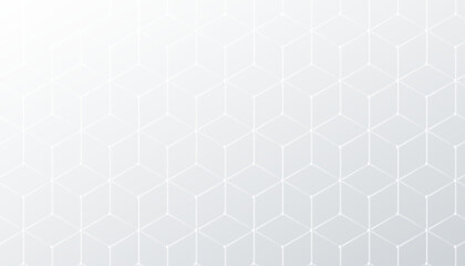 subtle hexagonal white and gray pattern background