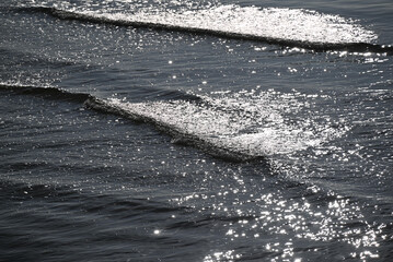 Water surface of the Baltic Sea.
