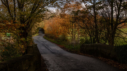 road in autumn
