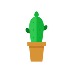 Cute potted cactus adds desert charm and modern flair