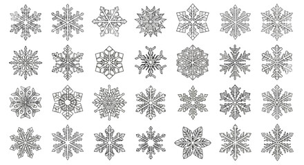A collection of 30 intricate snowflake designs, each with unique patterns and symmetrical shapes, arranged in a grid on a white background.