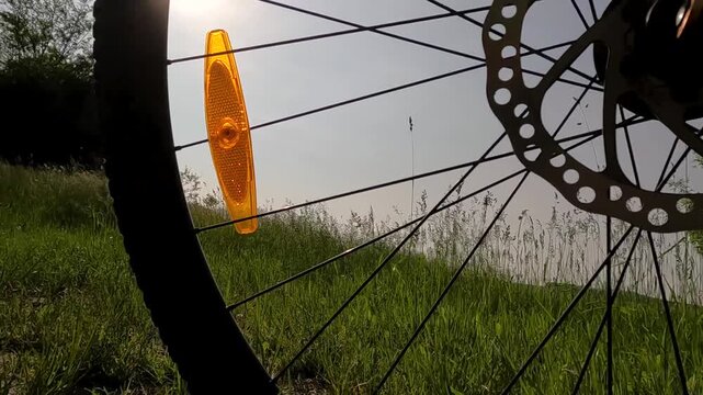 landscape of a field at sunrise through a bicycle wheel. bicycle wheel against the sun. sun glare in a reflector on the wheel. morning landscape. Bike ride in the park. Bike trip