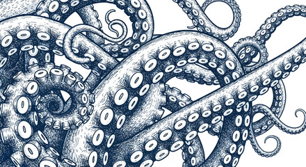 Detailed illustration of octopus tentacles with suckers, creating an intricate and captivating design. © Avoxel