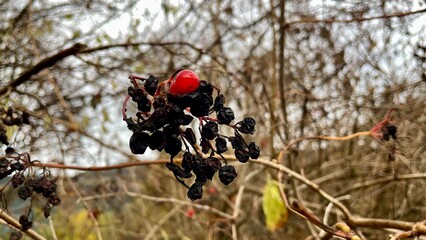Herbstwanderungen Tirol &Ouml;sterreich