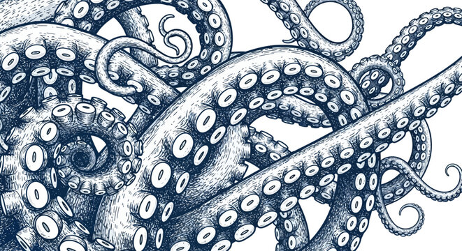 Detailed illustration of octopus tentacles with suckers, creating an intricate and captivating design.