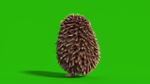 Cute 3D Rendered Hedgehog Standing on Green Screen with Spiky Fur