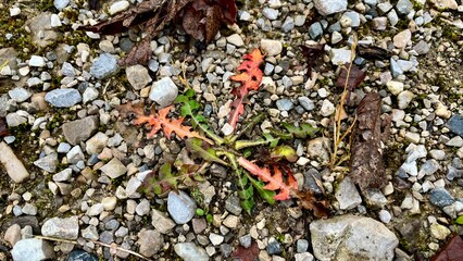 Herbstwanderungen Tirol &Ouml;sterreich