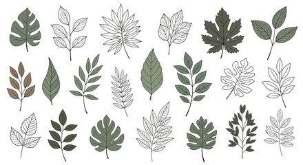 Collection of diverse leaf illustrations in various shapes and styles, some colored, others outlined.