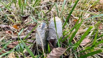 Herbstwanderungen Tirol &Ouml;sterreich
