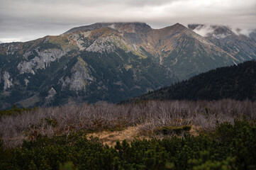 Obraz premium Mountain Range with Cloudy Sky and Forest