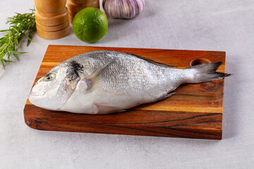 Raw fresh uncooked dorada fish