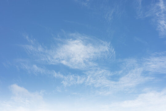Summer blue sky cloud gradient light white background. Beauty clear cloudy in sunshine calm bright winter air bacground. Gloomy vivid cyan landscape in environment day horizon skyline view spring wind - Powered by Adobe
