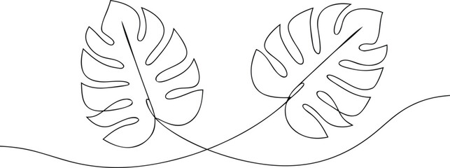 Two monstera leaves one continuous line drawing monstera leaf