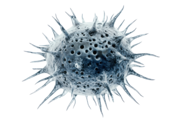 Detailed 3d rendering of a virus particle with spikes isolated on transparent background. Close up view of a biological cancer cell isolated on white background.