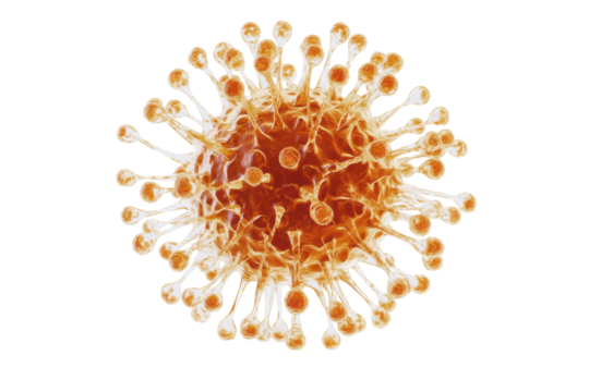 Detailed 3d rendering of a virus particle with spikes isolated on transparent background. Close up view of a biological cancer cell isolated on white background.