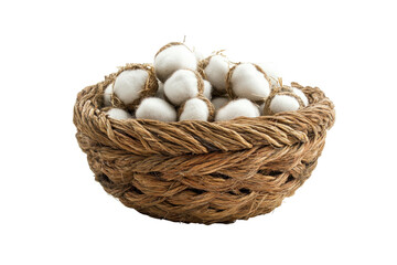 Woven basket filled with fresh cotton bulbs isolated on transparent background. Cotton in the basket isolated on white background.
