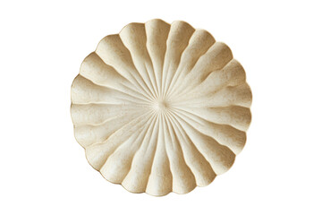 Creamy seashell with radiating lines isolated on transparent background.