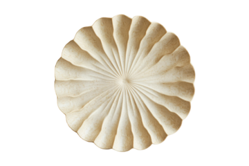 Creamy seashell with radiating lines isolated on transparent background.