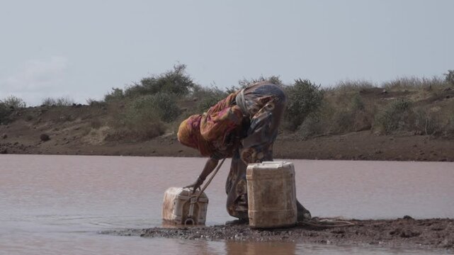 African Woman fetches water from a dirty pond and stores it in a plastic water canister.