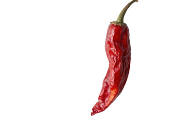 Single dried red chili pepper isolated on transparent background. Dried guajillo pepper isolated on white background.