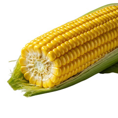 Vibrant yellow corn ear, perfect bite taken, plump glossy kernels, dynamic green husks, isolated on transparent, macro close-up, raking high-key light, concept of natural perfection and freshness