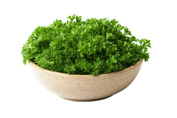 Fresh green parsley herb in a bowl isolated on transparent background. Green parsley in a bowl isolated on white background.