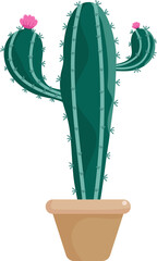 Cactus, Desert spiny plant, tropical home plants in flower pot, flat style for decoration, background.