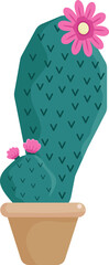 Cactus, Desert spiny plant, tropical home plants in flower pot, flat style for decoration, background.
