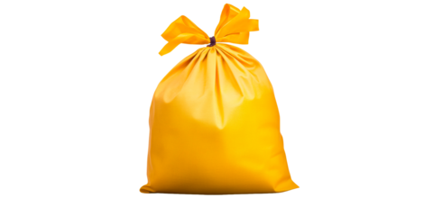 Single Orange Gift Bag Tied with a Ribbon Bow