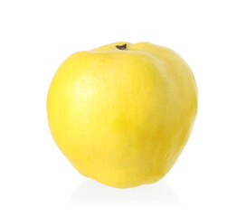 One fresh quince fruit isolated on white