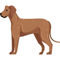 Side Profile of a Brown Dog with Short Fur and a Long Tail Standing Still on a Transparent Background
