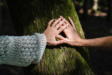 Couple touching hands on tree in forest expressing connection and harmony