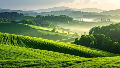 Lush Green Rolling Hills Bathed in Golden Morning Sunlight with Gentle Mist Rising and Rows of Crops in the Foreground