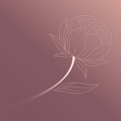 Elegant Line Art of a Peony Flower: A refined and delicate outline illustration showcasing a solitary peony flower in full bloom, offering a touch of serenity and simplicity.