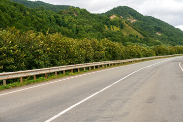 Mountain road curving through forested summer hillside