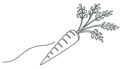 Fresh carrot with vibrant green leaves, perfect for healthy eating and organic food themes