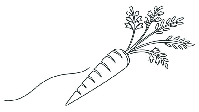 Fresh carrot with vibrant green leaves, perfect for healthy eating and organic food themes