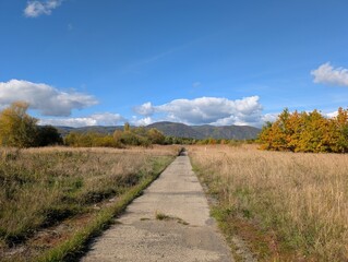 Narrow Concrete Path Through an Autumn Field Towards Mountains