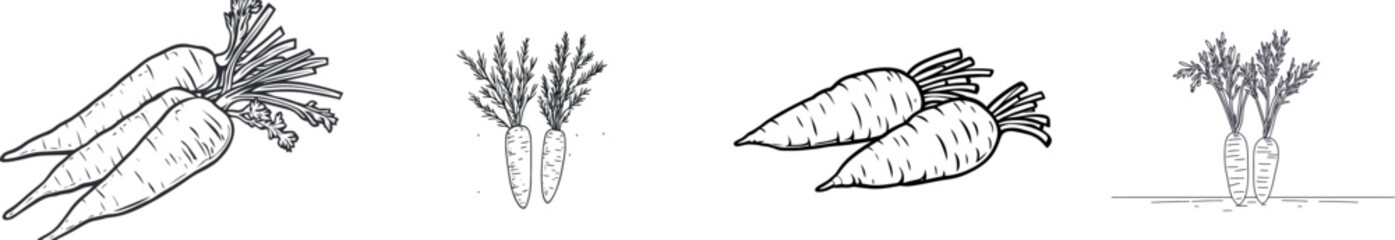 A modern food concept centered around vegetables is visually represented by a continuous line of two carrots, standing alone on a white background