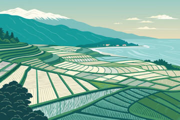 Top view of patterned rice fields, flat geometric.