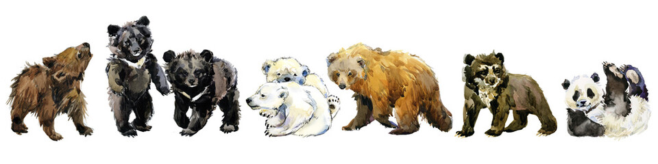 Adorable watercolor collection of bear cubs: Polar bear, Panda, Brown bear, Himalayan bear, and Grizzly bear. Cute baby animals isolated on a white background © Елена Фаенкова