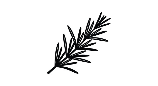black rosemary sprig on white background clip art preview