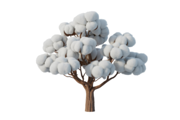 A 3D rendered, stylized cotton tree full of fluffy white bolls on a dark transparent background, ready for harvest. background removed