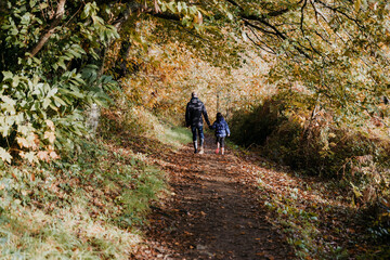 walking in the forest