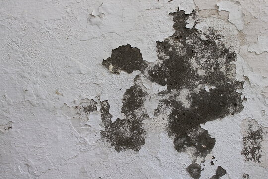 Close-up texture of an old white wall with peeling paint, cracks, and dark damp stains showing signs of age, decay, and weather damage.