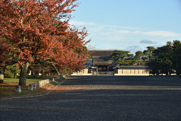 秋の京都御苑　建礼門とモミジ(京都市上京区)